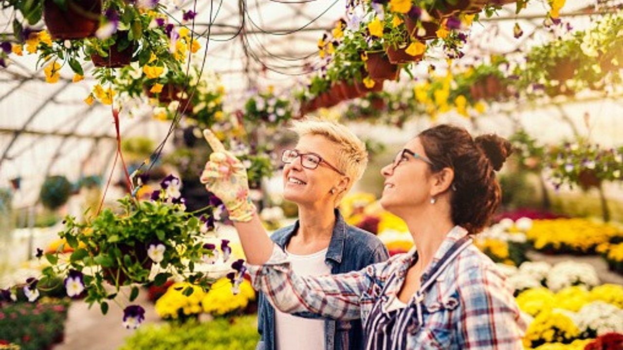Garden consultation helping homeowners choose plants for a successful vegetable garden