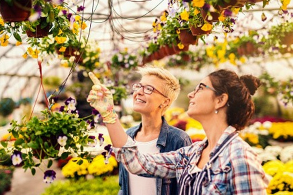 The Ultimate Vegetable Planting Guide: How to Create a Thriving Garden