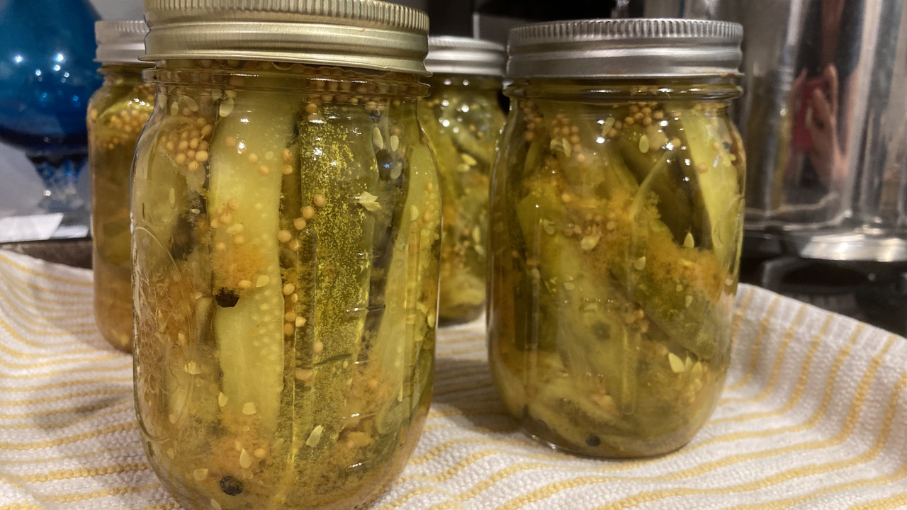 Homemade fermented pickles in mason jars with garlic and whole peppercorns.