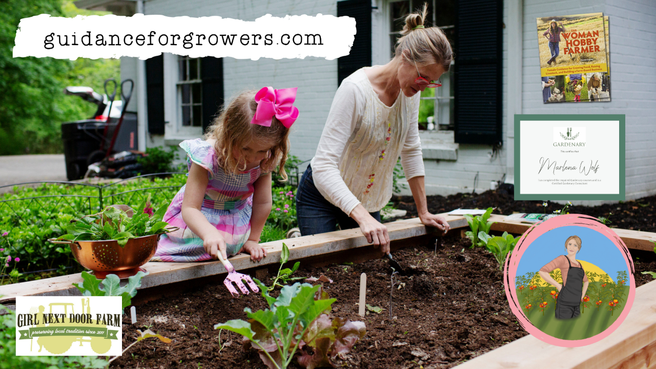 Home vegetable garden producing fresh food to support household food security
