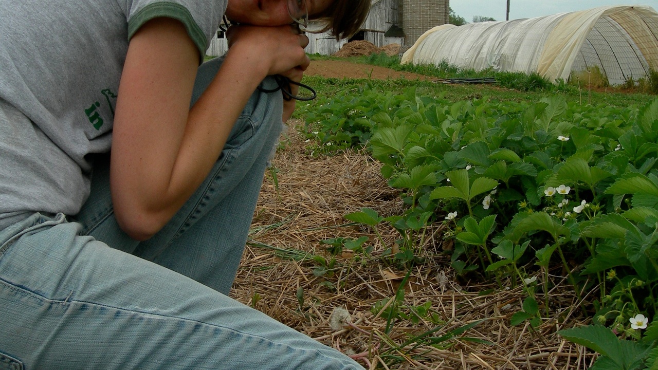 Woman in rural farm field reflecting on agricultural life
