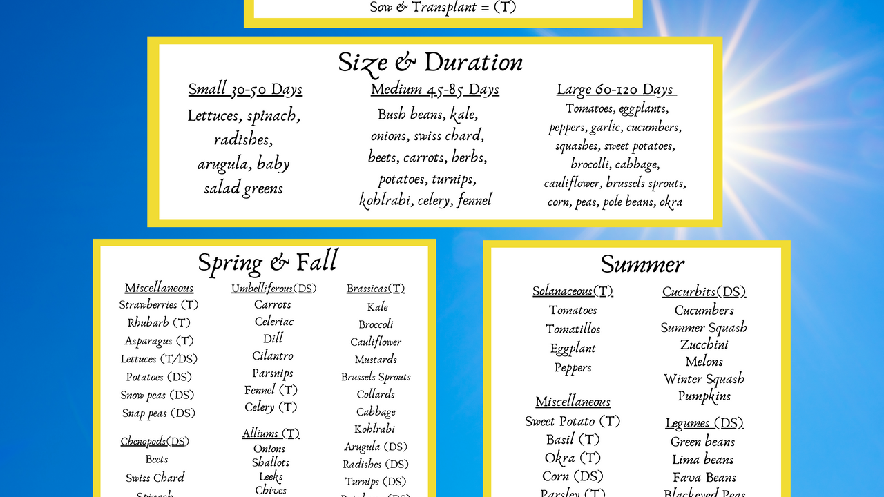 infographic chart listing various vegetables categorized by their growing seasons and harvest durations.