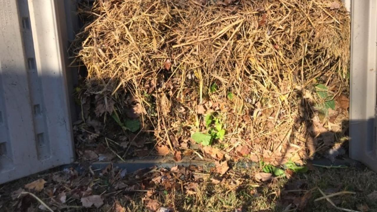 A large pile of dry brown leaves and straw inside a gray plastic composting bin.