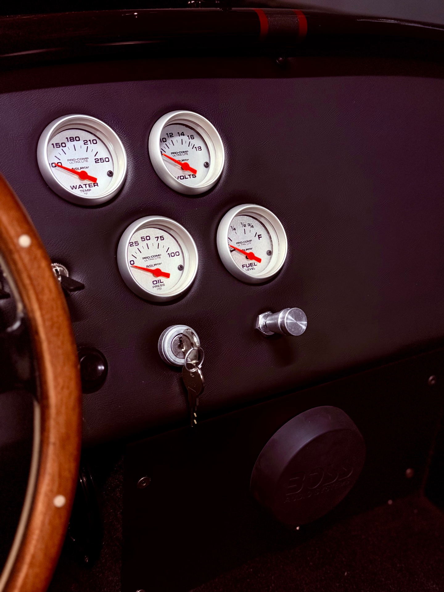 Shelby Mustang - Image 4