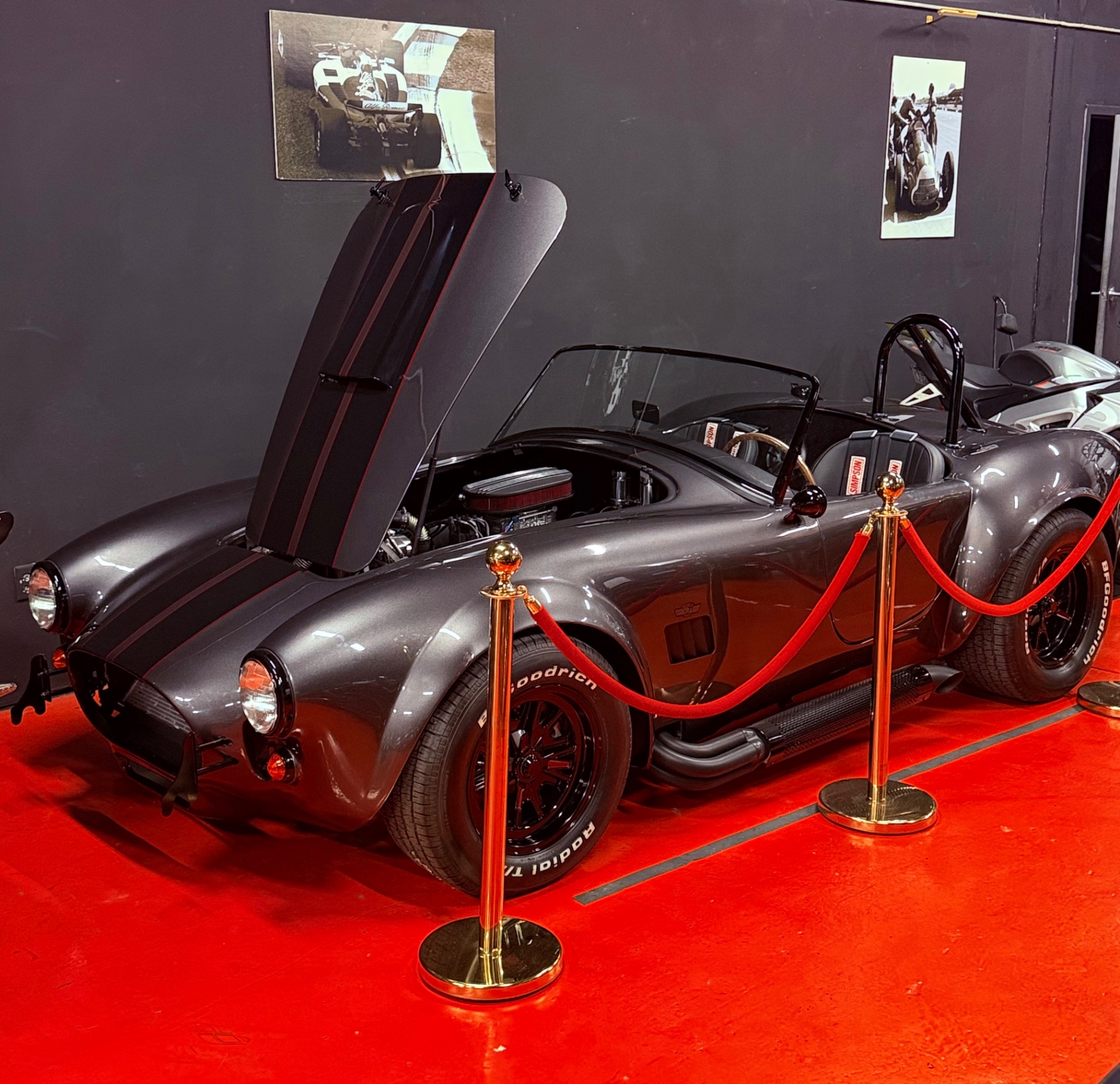 Shelby Mustang - Image 1