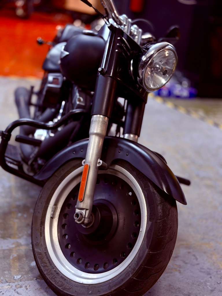 Harley Fat Boy Lo - Image 1