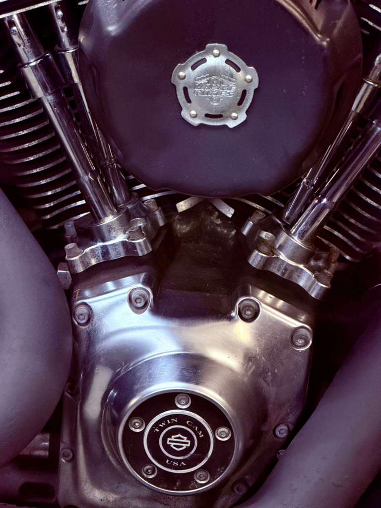 Harley Fat Boy Lo - Image 6