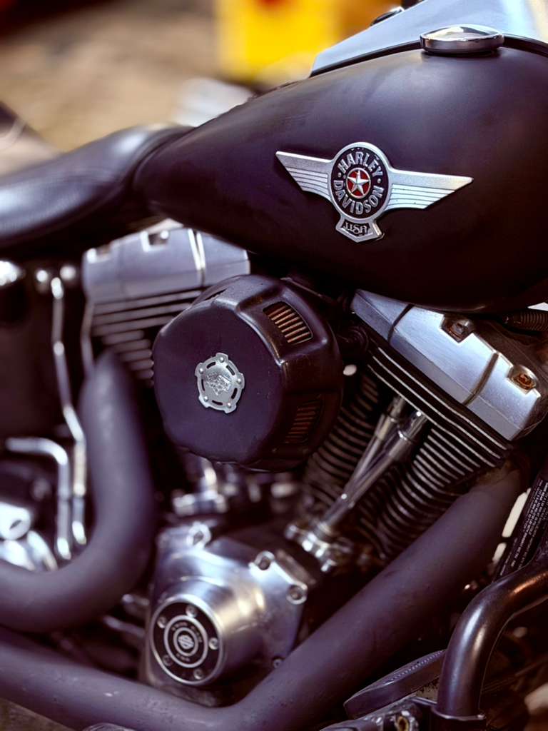 Harley Fat Boy Lo - Image 3