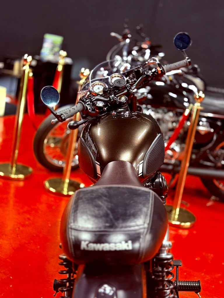 2019 Kawasaki W800 - Image 6