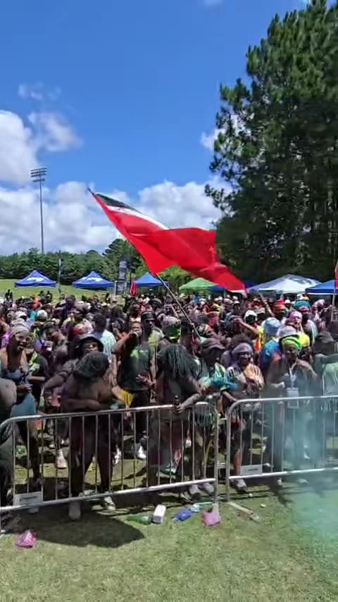 Packed VA J’ouvert crowd with Trinidad and Tobago flags