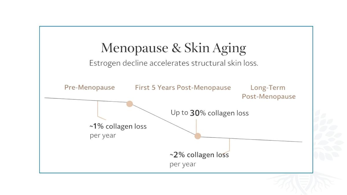 Collagen loss before and after menopause