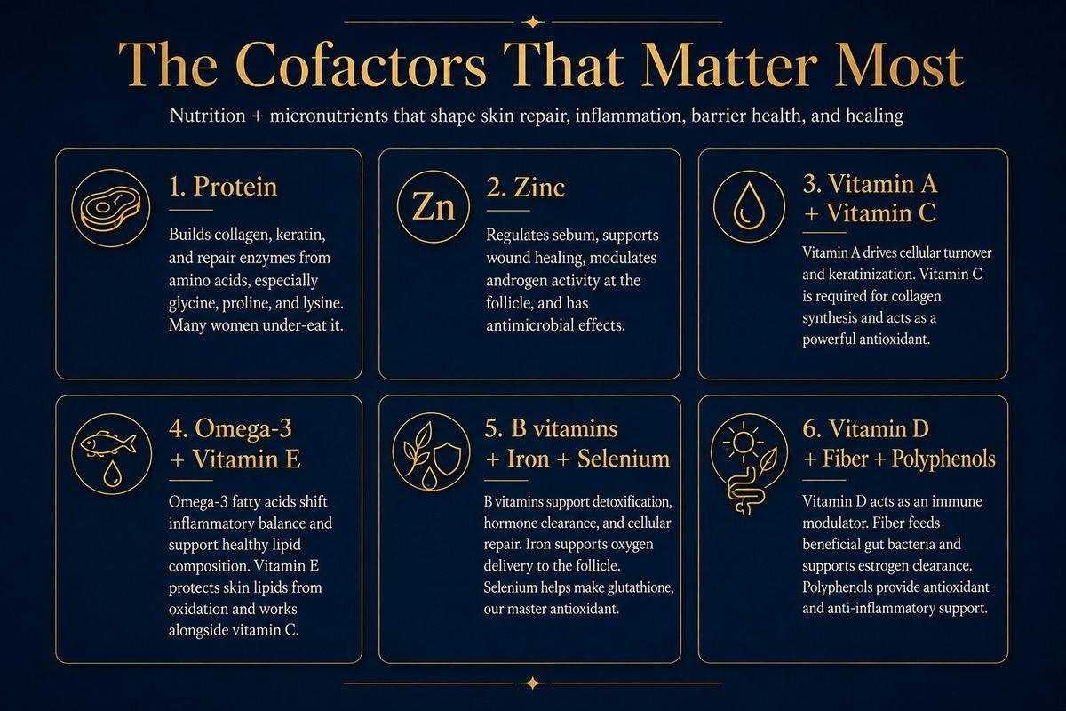 The cofactors that matter most for skin: protein, zinc, vitamins A and C, omega-3 and vitamin E, B vitamins with iron and selenium, and vitamin D with fiber and polyphenols