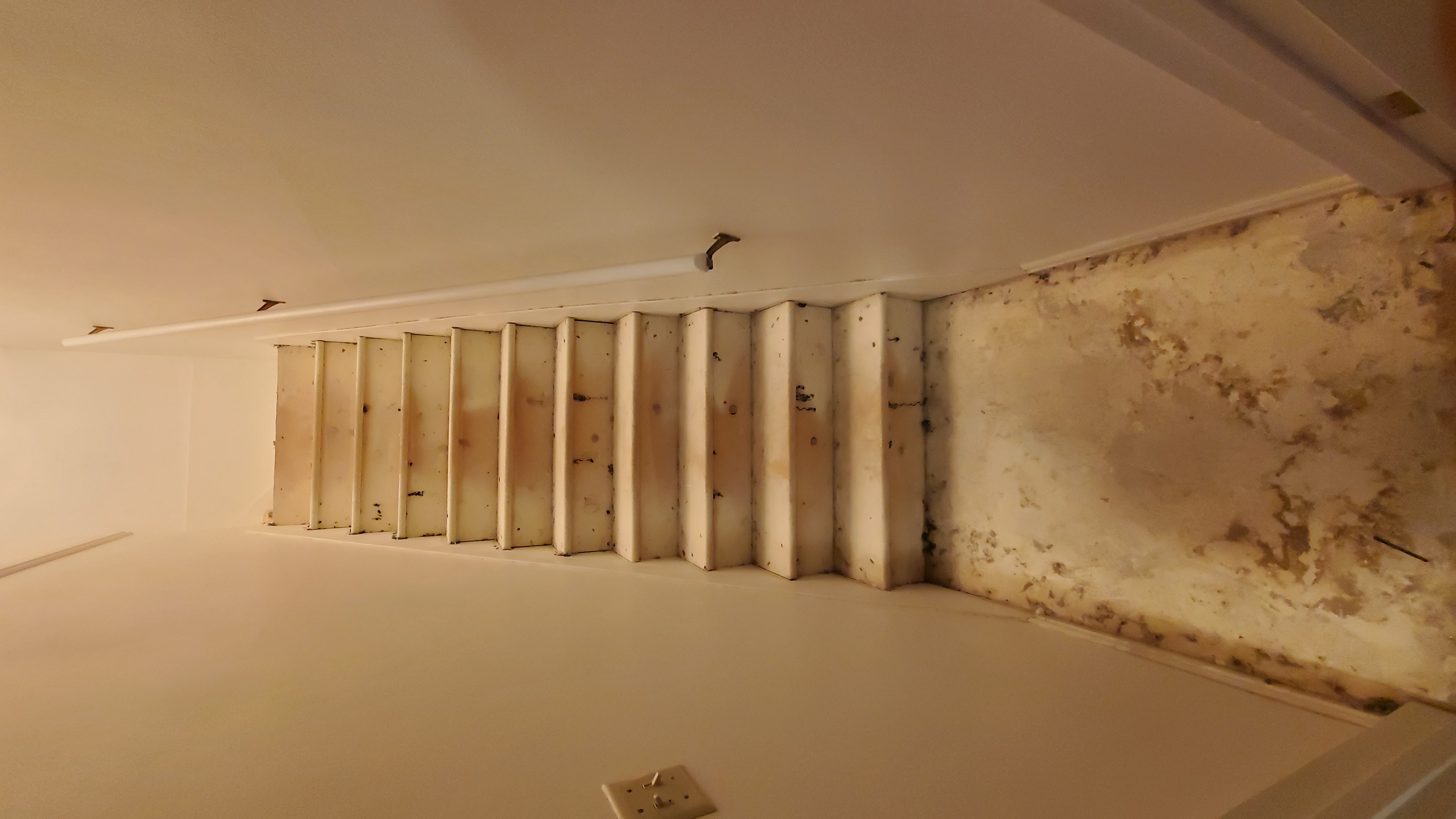 Interior stairs before refinishing