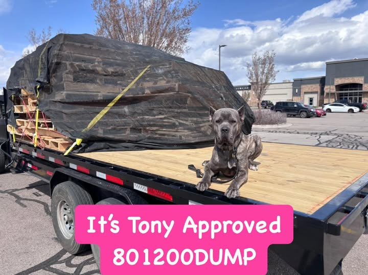 801200DUMP commercial pallet cleanup