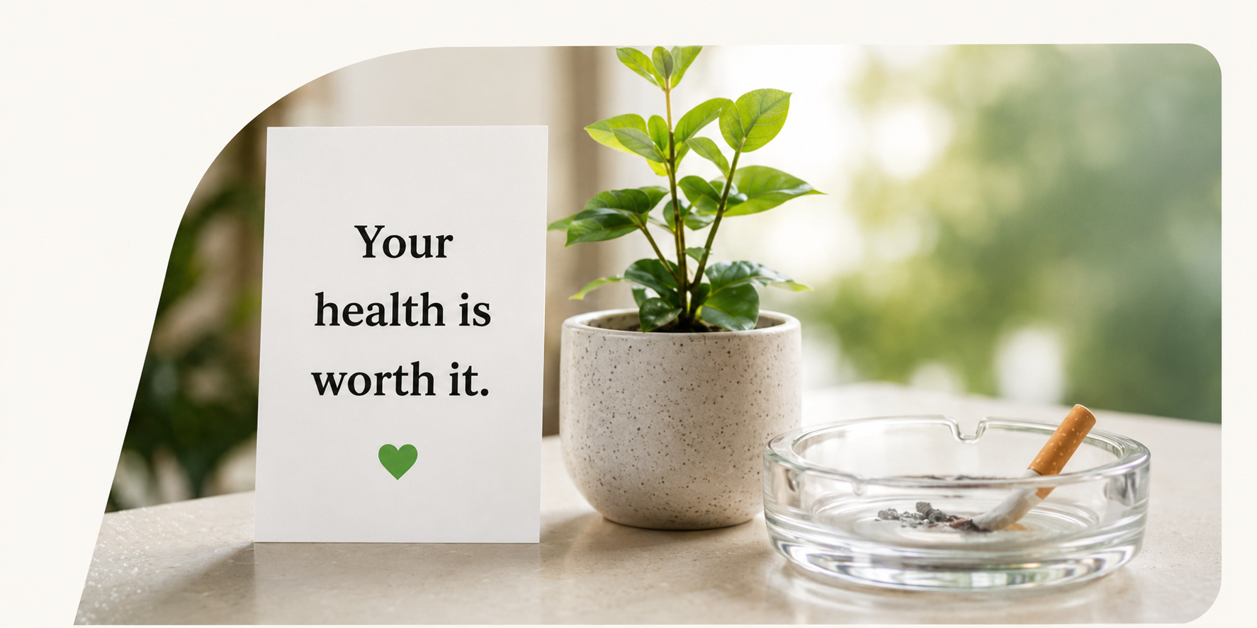 Your health is worth it — a small plant beside an ashtray