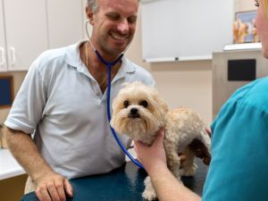 Mobile Pet Wellness Visits in Delray Beach, Florida