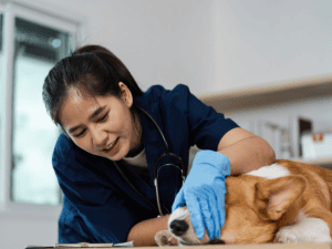 {{ custom_values.service_2 }} in {{custom_values.area_4})