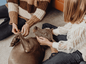 Mobile Pet Wellness Visits in Boca Raton, Florida