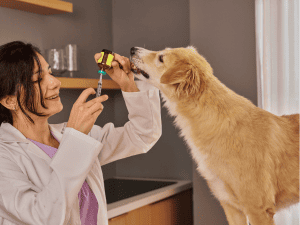 Mobile Pet Euthanasia 24/7 in Delray Beach, Florida