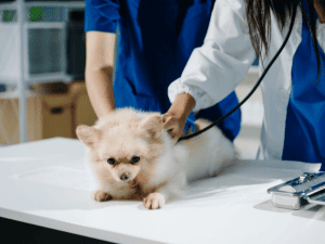 {{ custom_values.service_3 }} in {{custom_values.area_1})