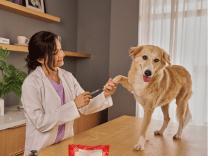 {{ custom_values.service_2 }} in {{custom_values.area_7})