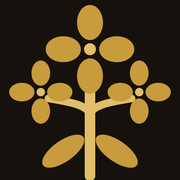 Mustard Seed Concepts