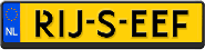 Rijseef