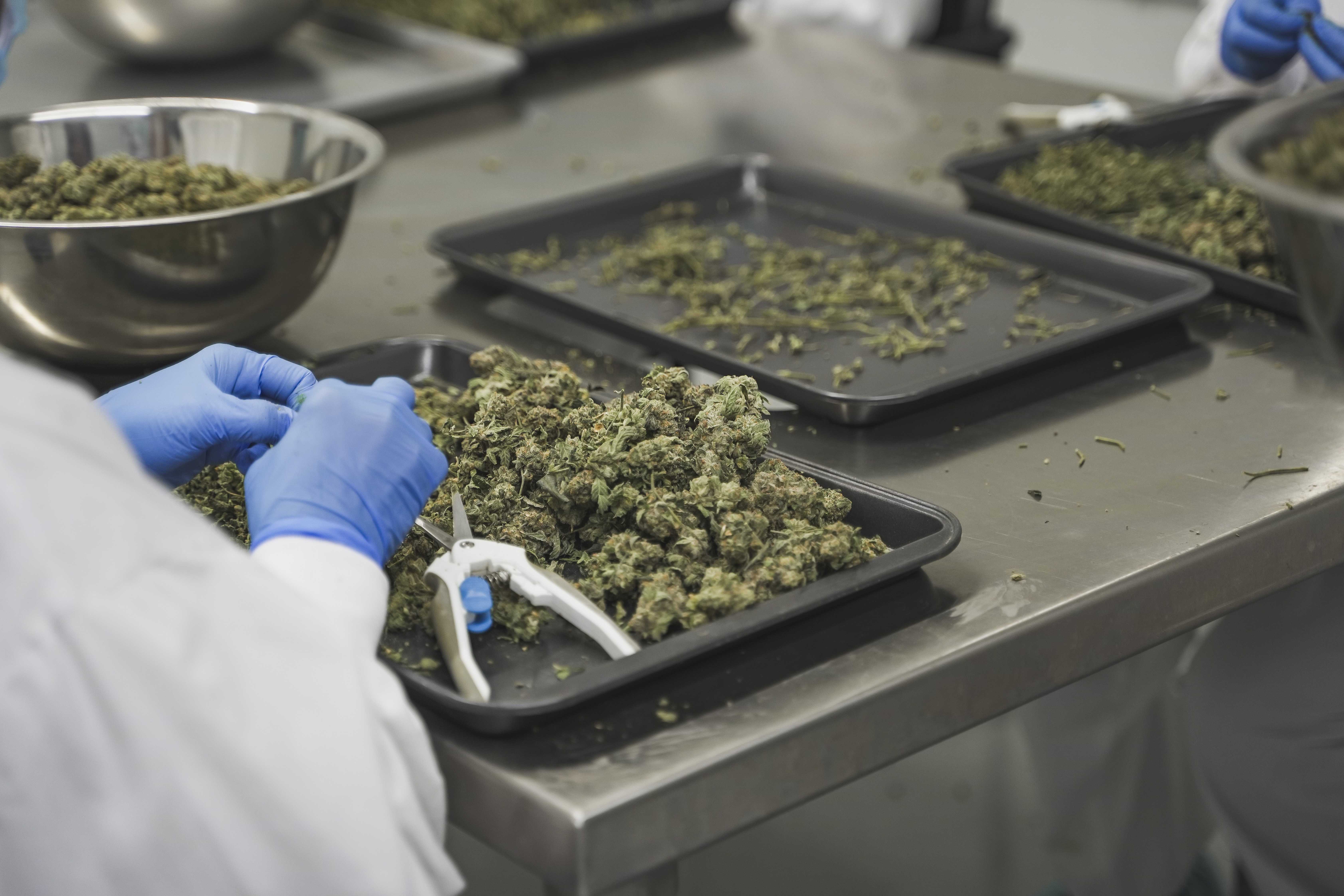 Hand-trimmed flower