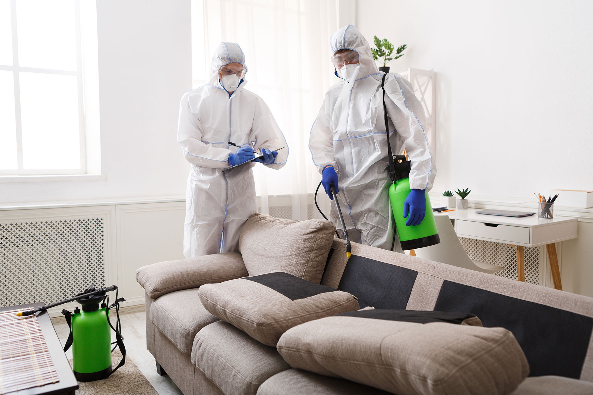 Bed Bug Services