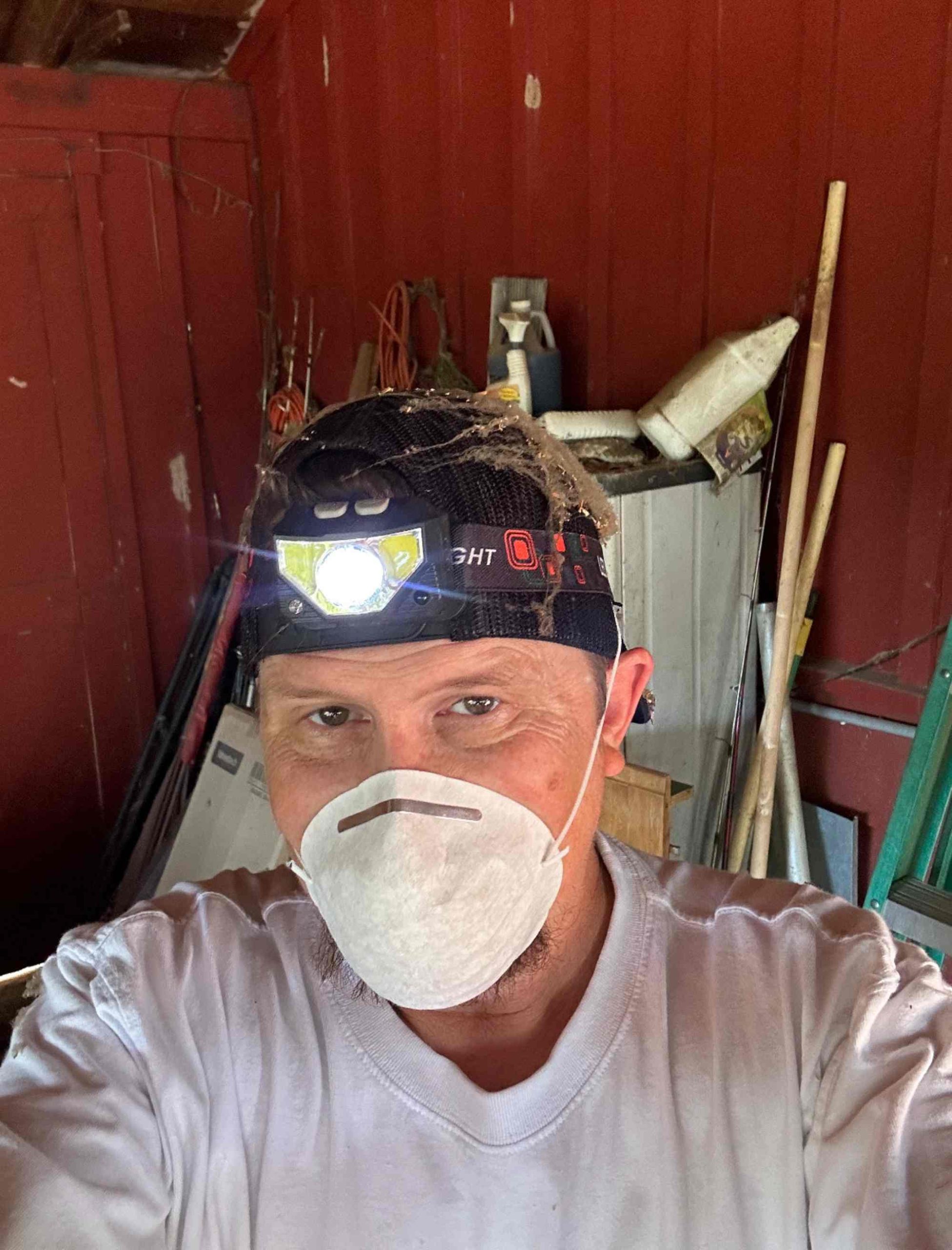 Pest control gallery photo 10