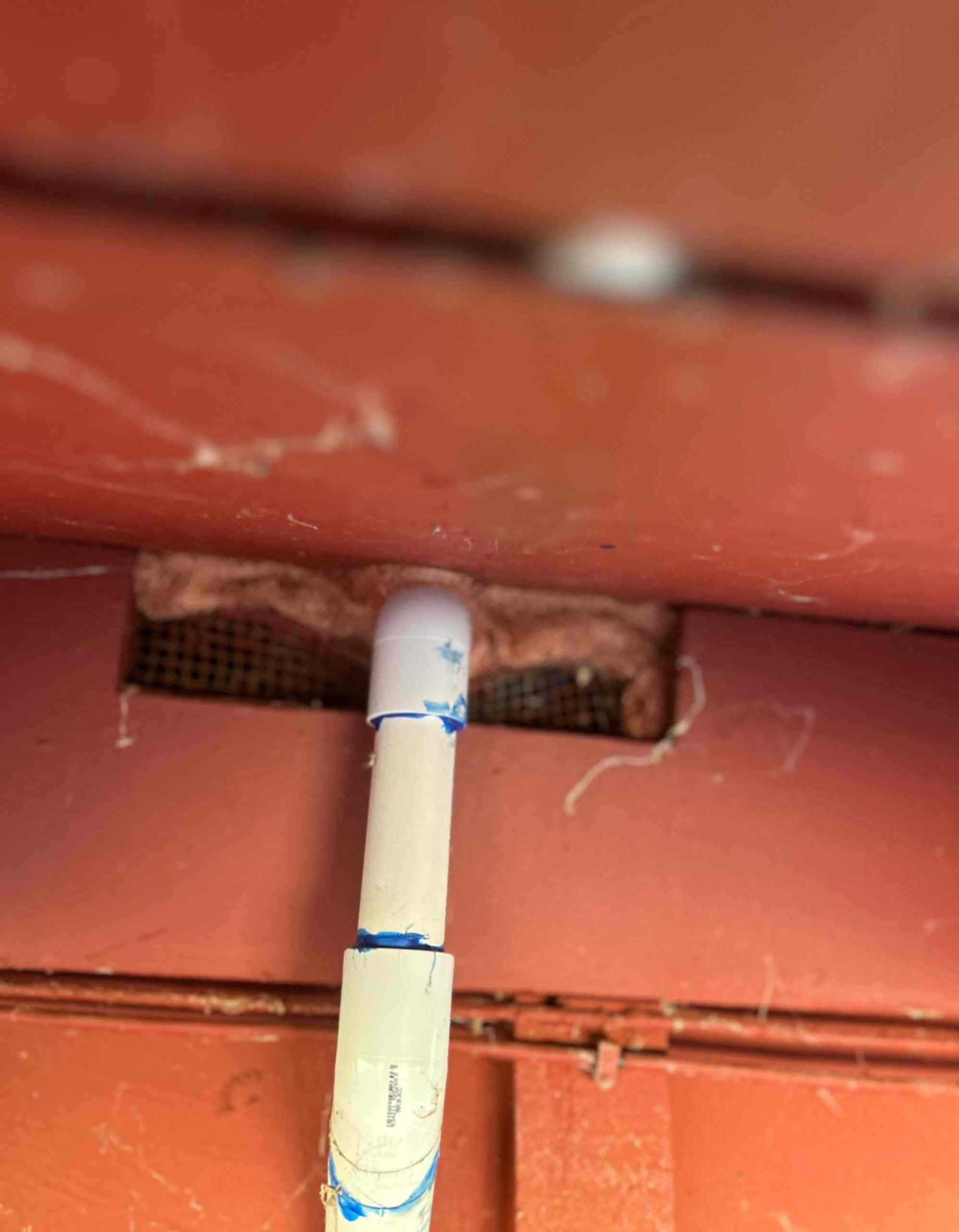 Pest control gallery photo 9