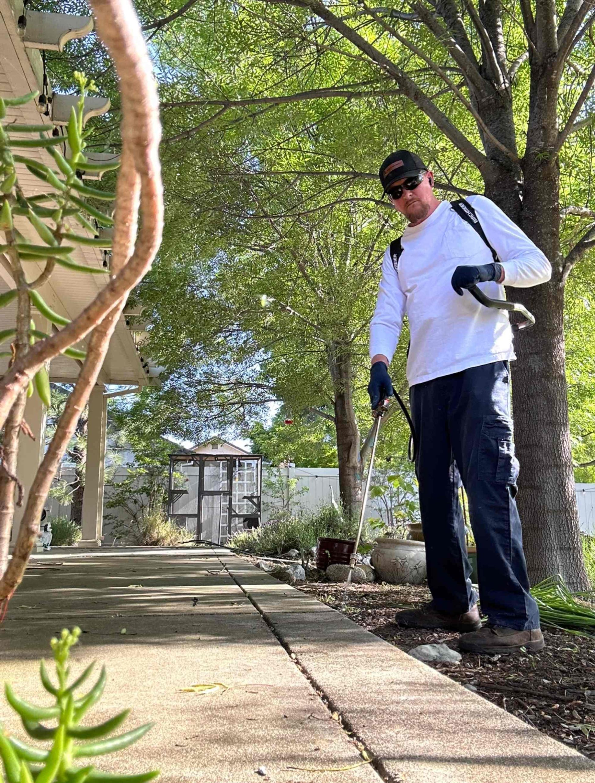 Pest control gallery photo 4