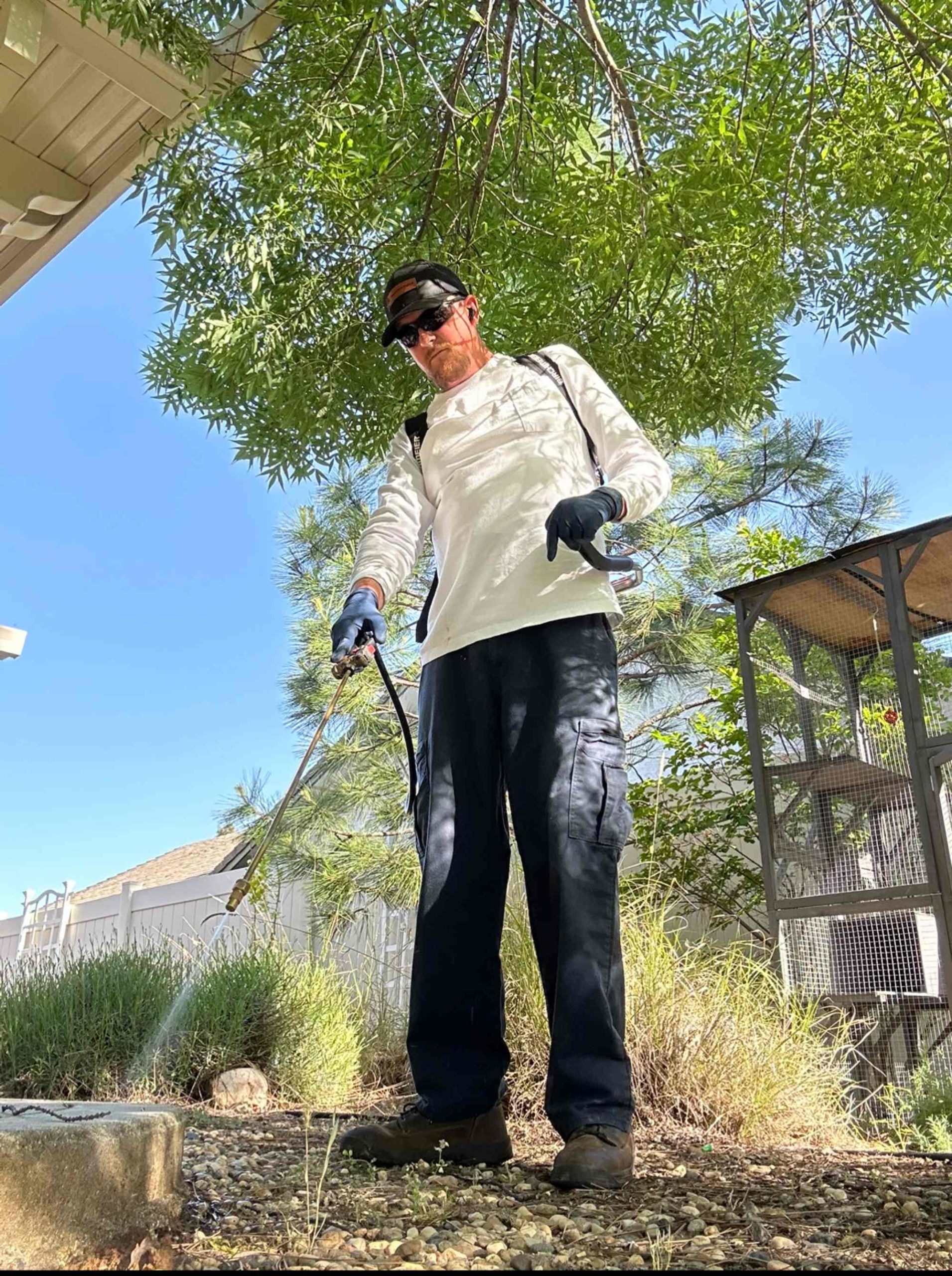 Pest control gallery photo 2