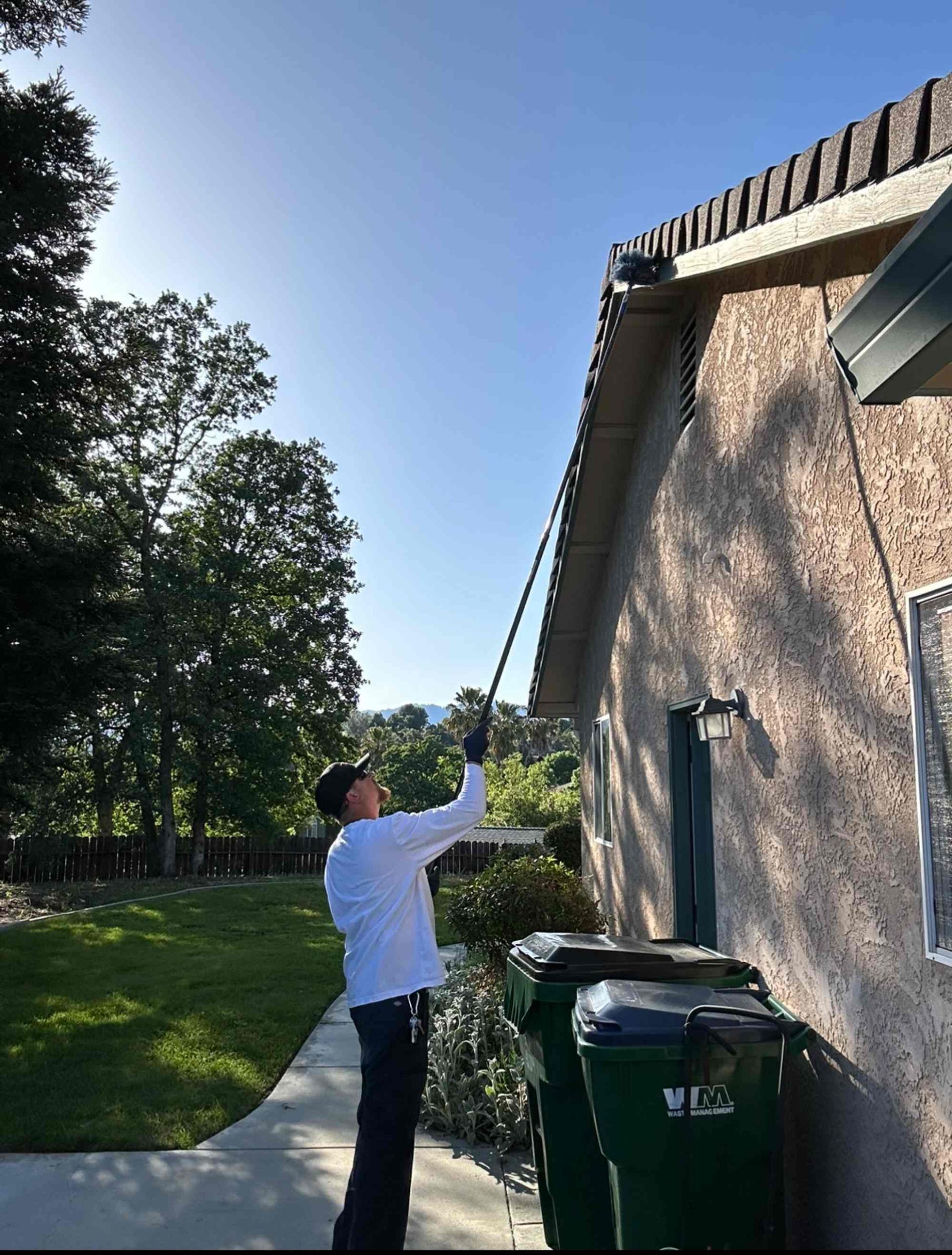 Pest control gallery photo 3