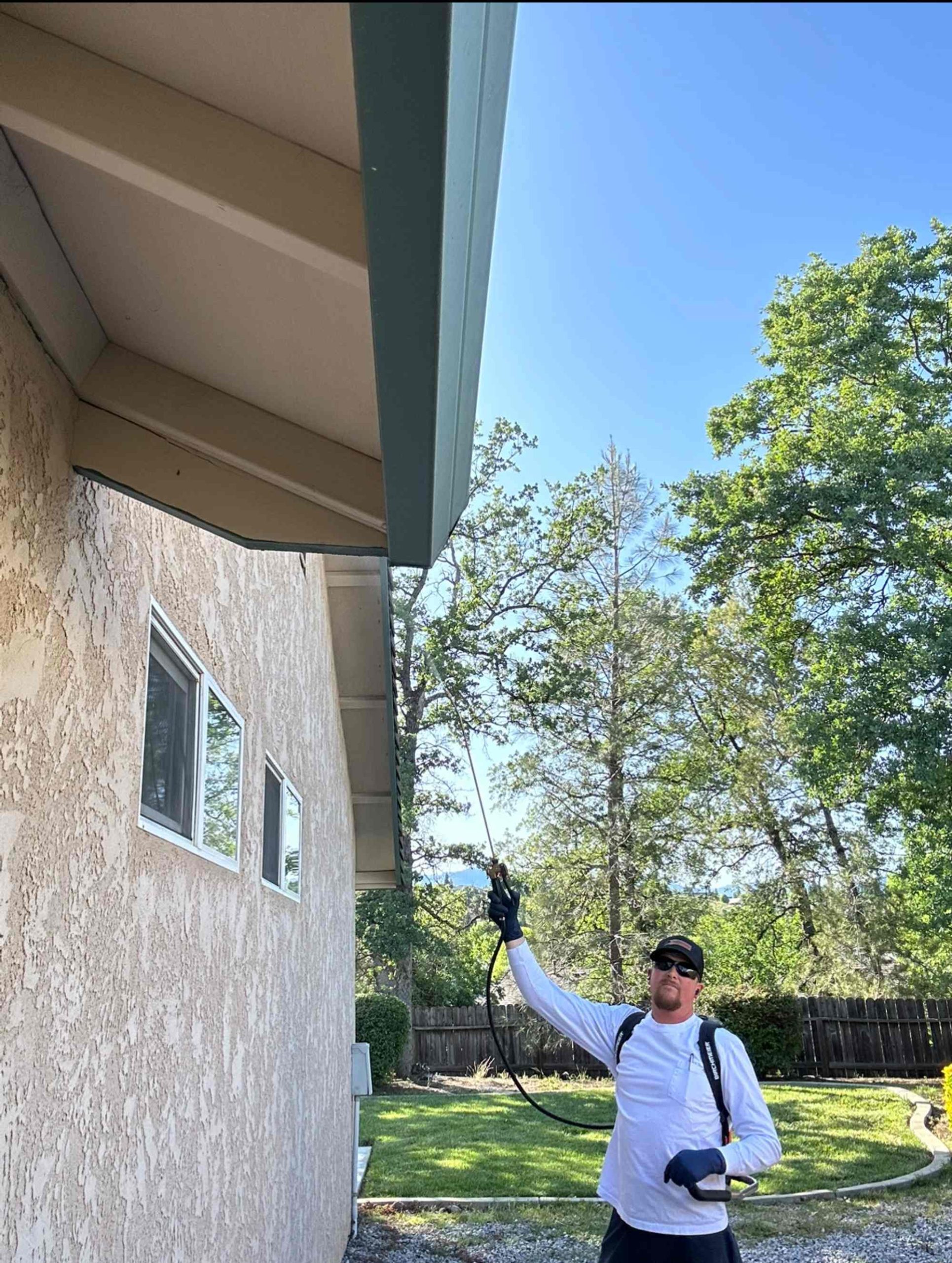 Pest control gallery photo 1