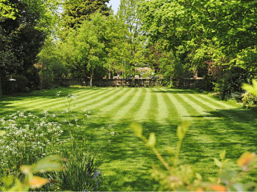 Verona Snow Removal & Ice Managment