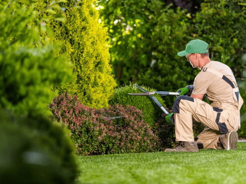 Oregon Lawn Maintenance