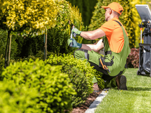 Verona Lawn Maintenance