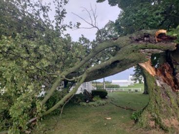 Storm Damage in Bremen