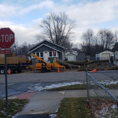 Stump Grinding Bremen