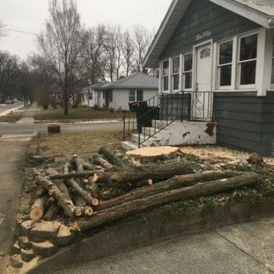 Stump Grinding Bremen