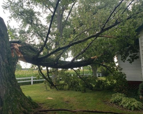 Nappanee Storm Damage
