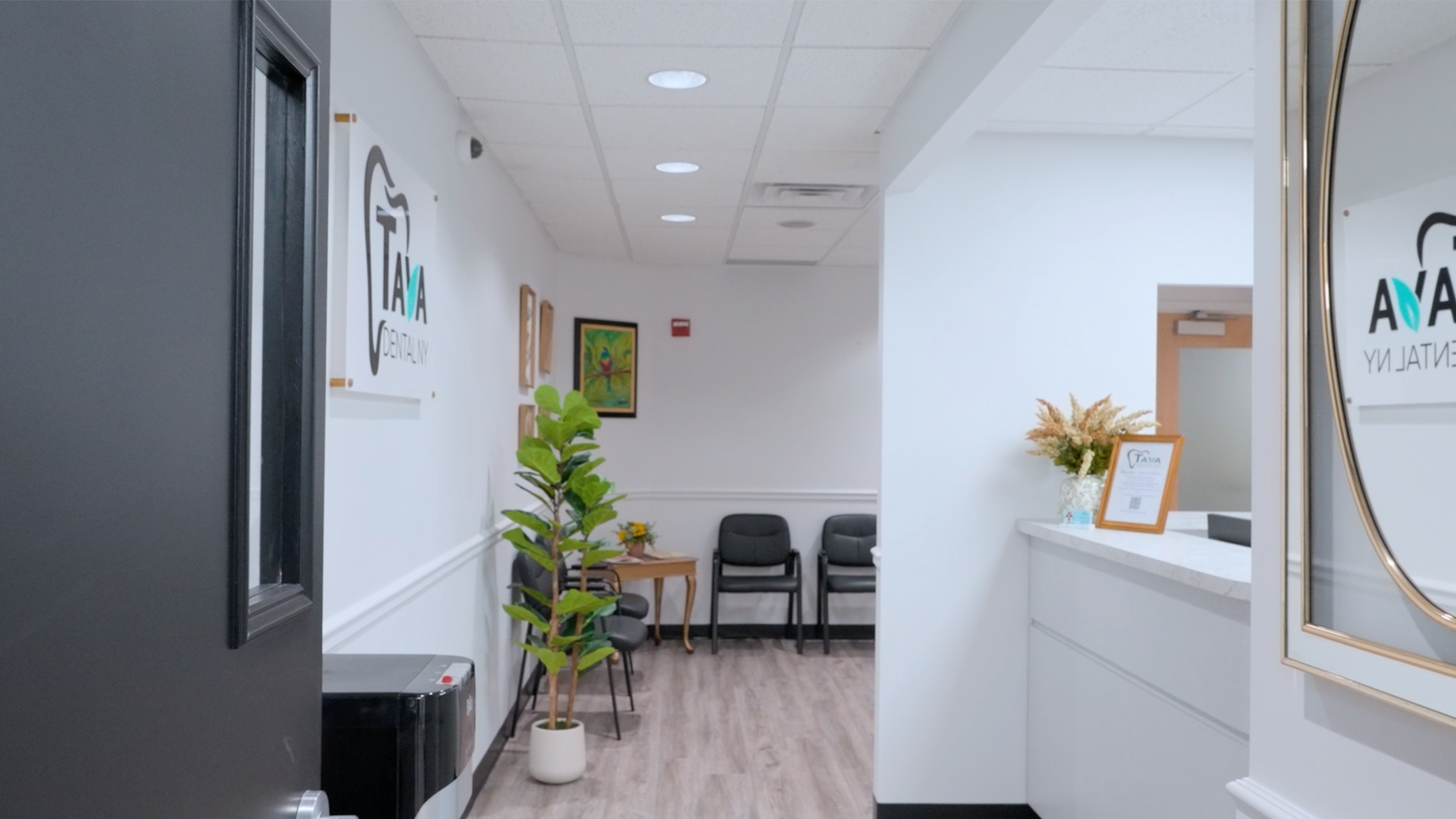 Hallway with plant in dental office representing a clean, calming environment enhancing patient comfort and experience