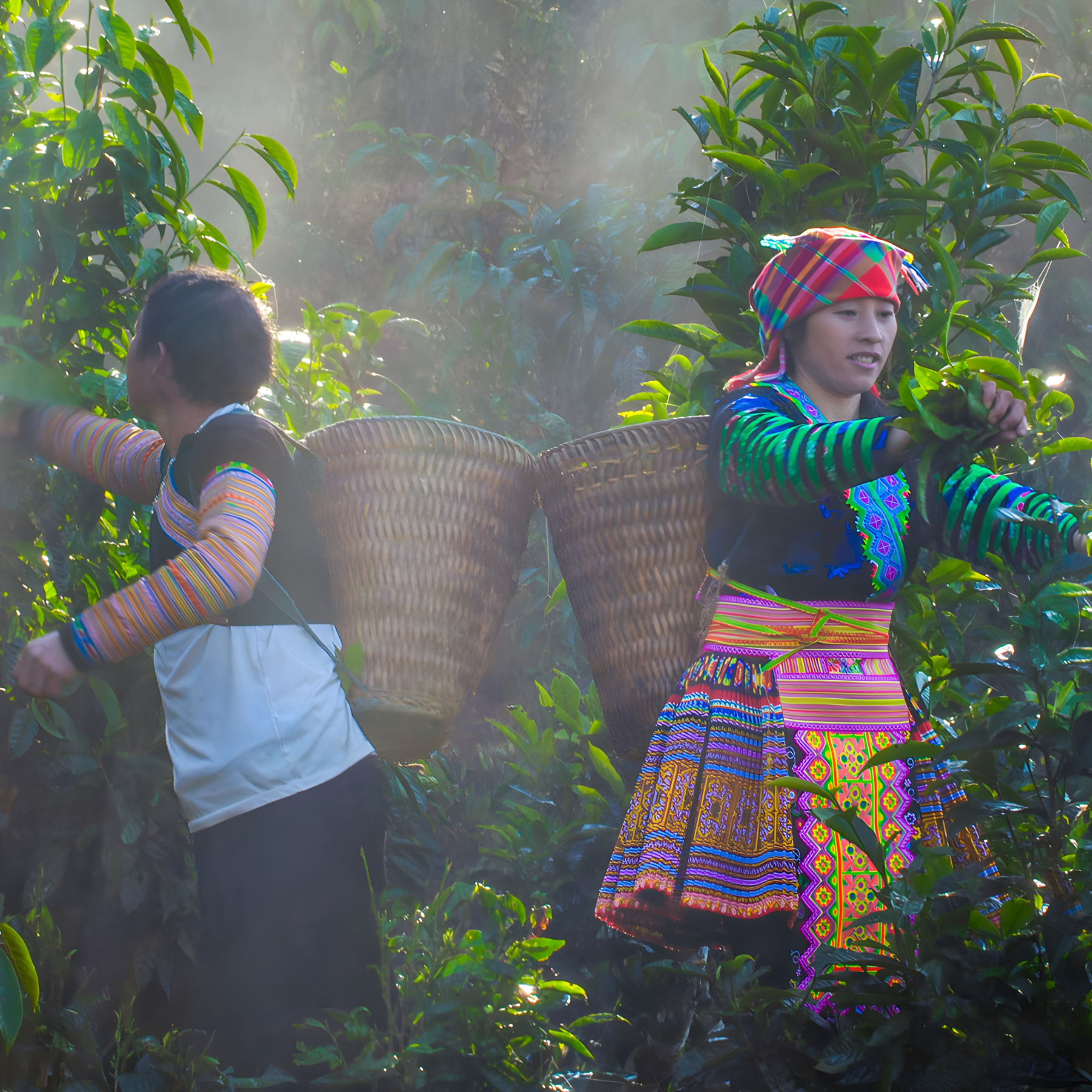 Fundadora climática latinoamericana en acción
