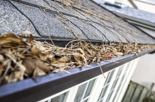 Lutz Gutter Cleaning