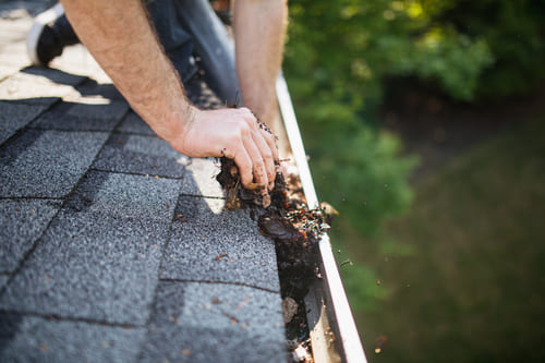 Tampa Gutter Cleaning