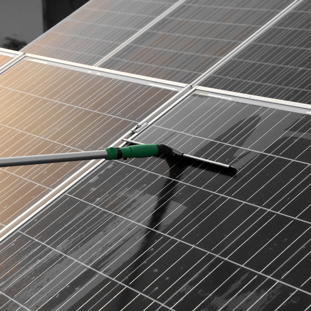 Solar panel cleaning in Mauritius