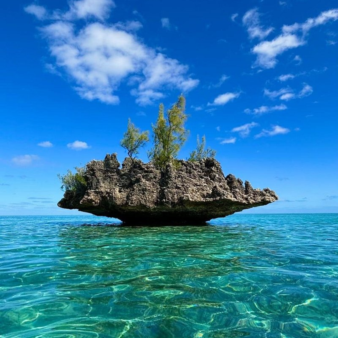 Responsible dolphin watching and Île aux Bénitiers on the west coast of Mauritius