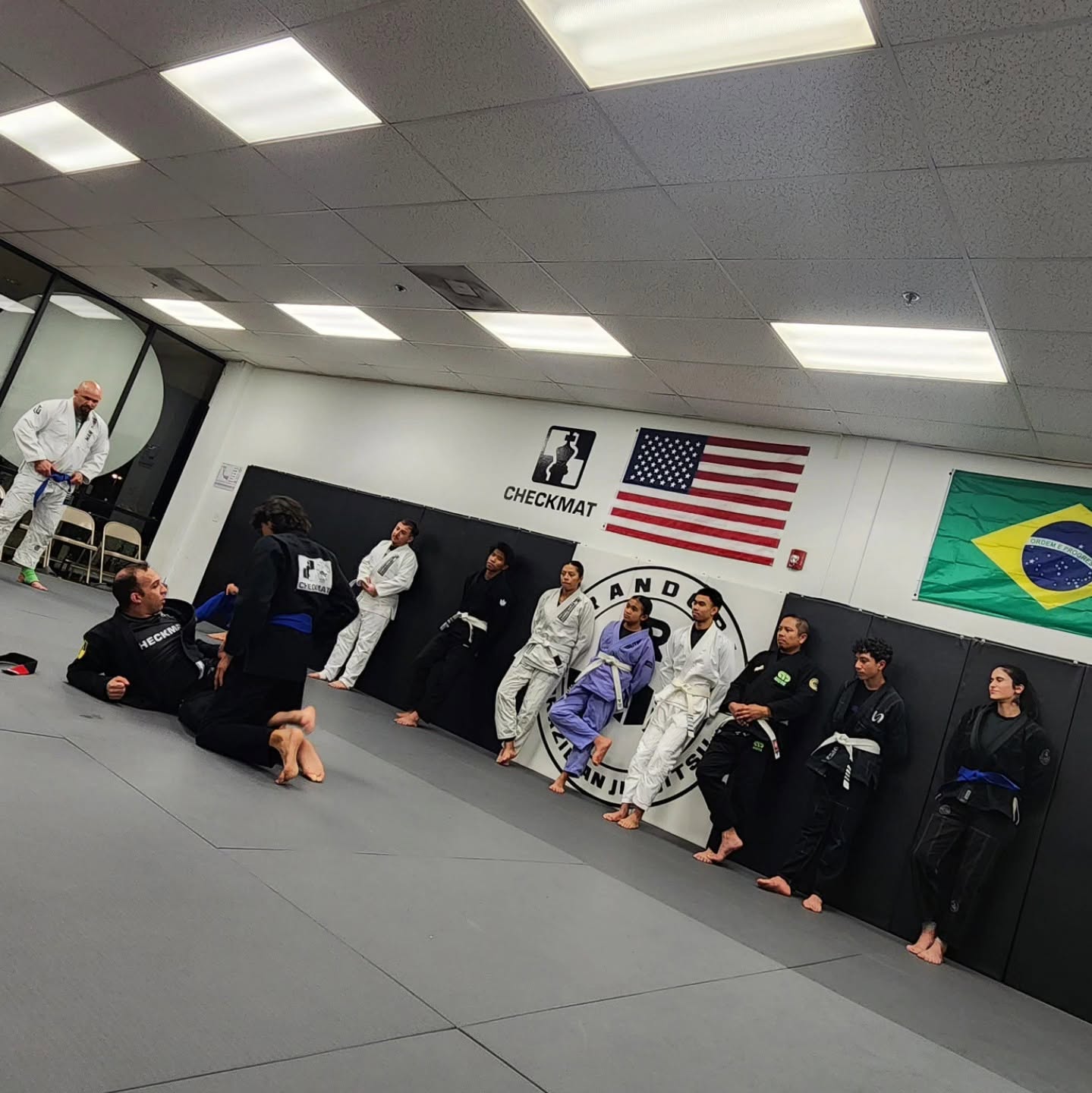 Adult BJJ program