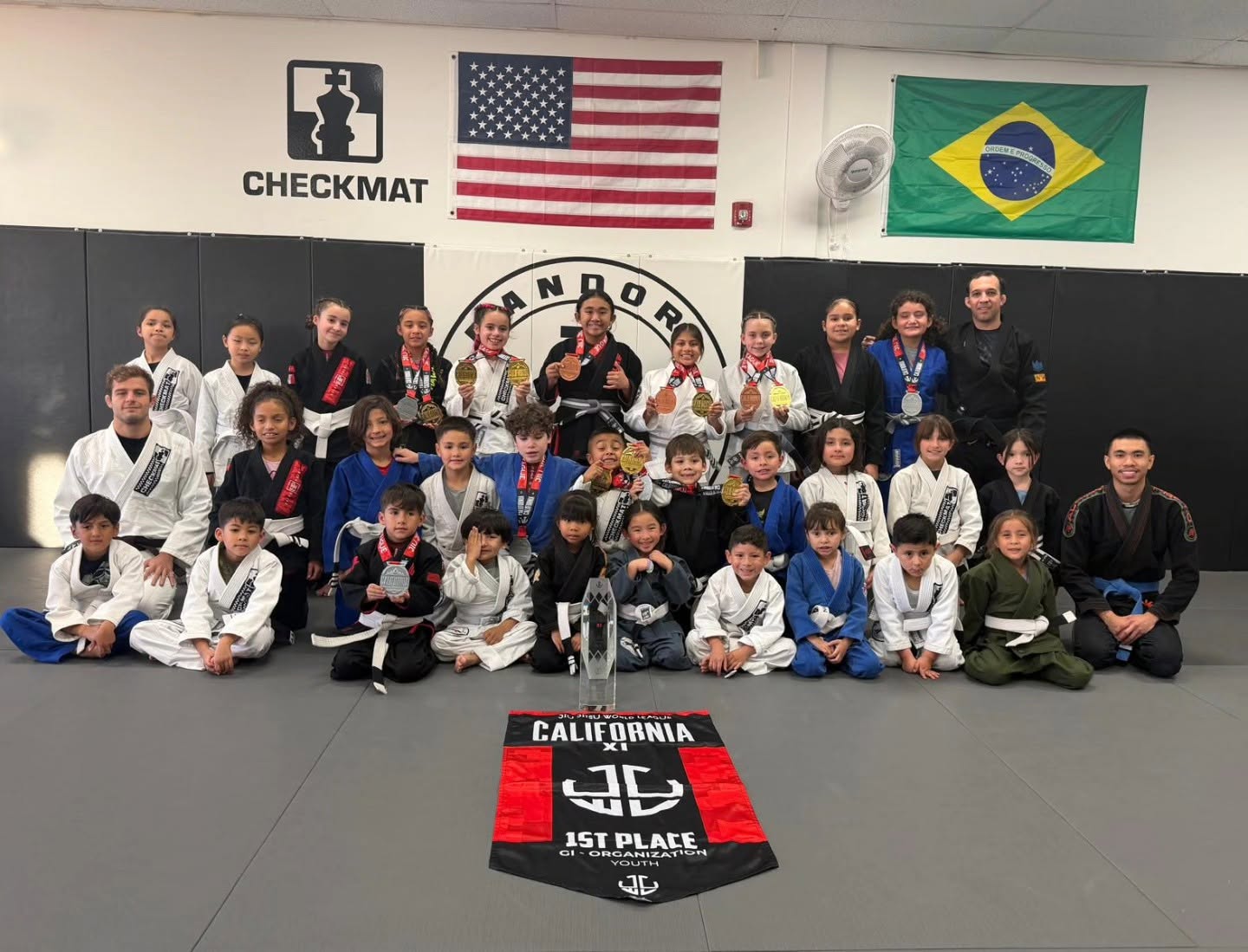 Beginner Jiu Jitsu program